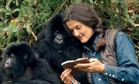 DIAN FOSSEY