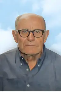 ANGELO NAVA - Covo (BG) - Il commiato