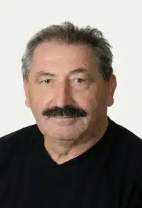 FRANCESCO VAVASSORI