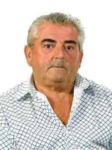 DOMENICO BELLINI